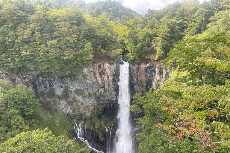 Nikko Ganztagestour Private Tour mit Englisch sprechendem Fahrer