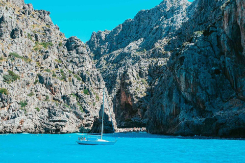 Mallorca Tour: Sa Calobra, Torrent de Pareis and Cala Tuent