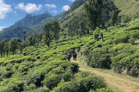 Pekoe Trail 18-22: Guided 7 Day Trail with Hotels &Transfers