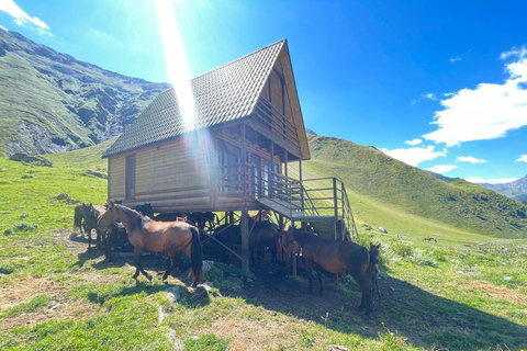 Kazbegi: Abenteuer Reiten vom Rooms Hotel Kazbegi