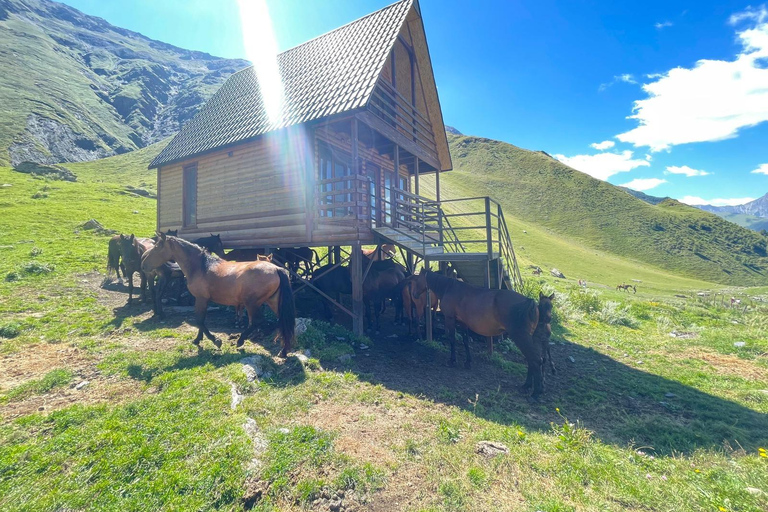 Kazbegi: Ridäventyr från Rooms Hotel Kazbegi