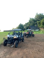 Vanuit Madeira, Private Buggy Rijervaring met Pickup - Hizvo