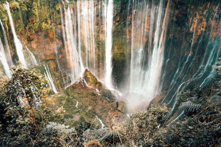 Yogyakrta nach Bali:Borobudur,prambanan,bromo,ijen,tumpak sewu