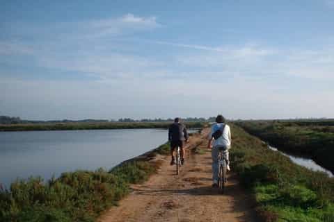 Faro Bike Tour through the Beautiful Ria Formosa