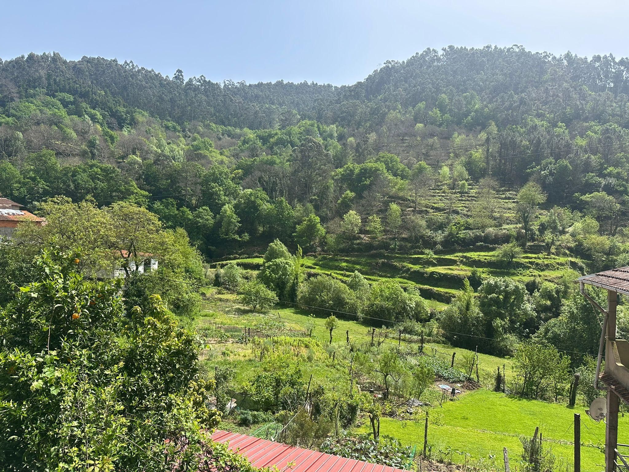 Nationalpark Gerês: Natur, Dörfer und malerische Landschaften