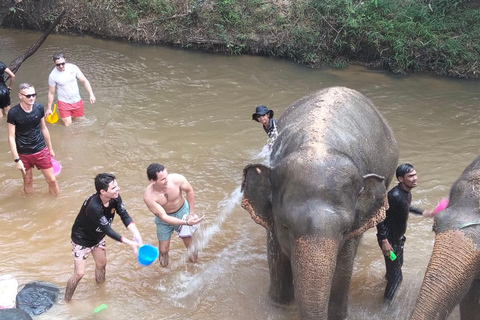 Siem Reap: Bonteay Srei & Elephant Sanctuary Private Tour Bonteay Srei Temple & Elephant Sanctuary Private Tour by Van
