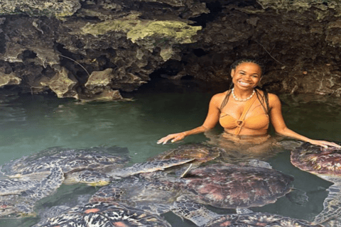 Zanzibar: Baraka Aquarium Feed, Swim & Snorkel with Turtles