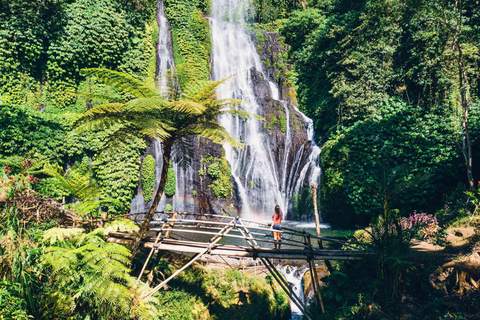 Norte de Bali: Tour fotográfico de un día completo por los lugares más destacadosTour privado