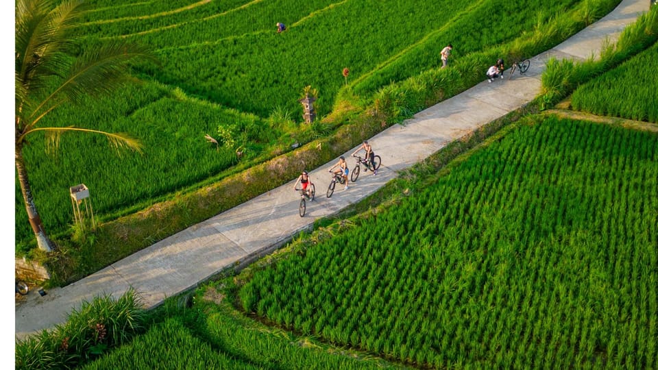 E-Bike, Ubud Reisterrassen & traditionelle Dörfer Radfahren - Hizvo