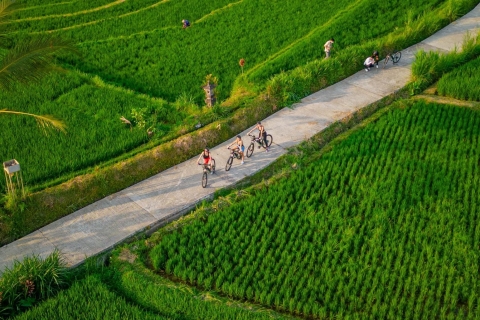 E-Bike: Ubud Reisterrassen & traditionelle Dörfer RadfahrenNur E-Bike und Mahlzeit