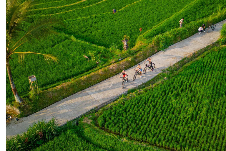 E-Bike: Terrazze di riso e villaggi tradizionali di Ubud in bicicletta