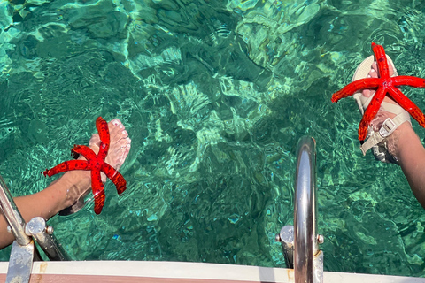 Split: Boat Tour to Blue Cave, Vis, Blue Lagoon, Hvar, Brač