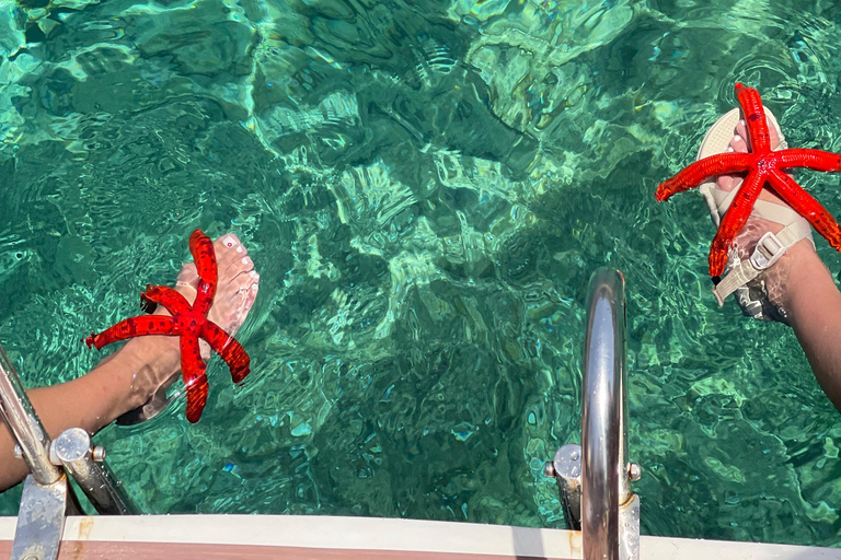 Split: Boat Tour to Blue Cave, Vis, Blue Lagoon, Hvar, Brač