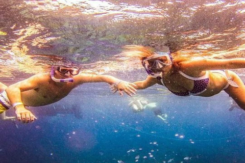 Privado: mergulho na Ilha Catalina com almoçoPrivado: Mergulho na Ilha Catalina com almoço