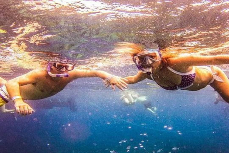 Privado: mergulho na Ilha Catalina com almoçoPrivado: Mergulho na Ilha Catalina com almoço