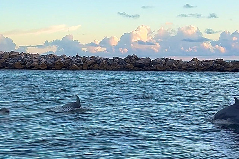 Destin: Sunset Pontoon Boat Cruise With Dolphin Watching