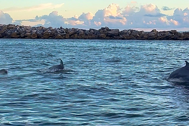 Destin: Sunset Pontoon Boat Cruise With Dolphin Watching