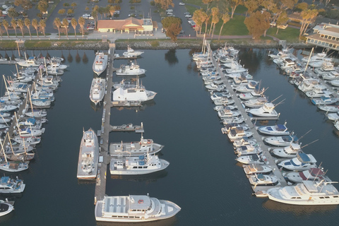 Twilight Tour with San Diego Natural History Museum Whalers Twilight Tour with San Diego Natural History Museum Whalers!