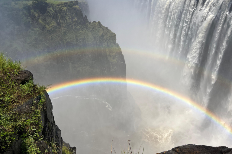 Victoria Falls: Guided Tour with Big Tree & Market Visit