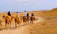 Marrakech, Desert Dinner, Camel Ride, Sunset & Show - Housity