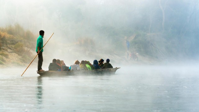 Chitwan: One day Jeep Safari, Canoeing, Forest walk