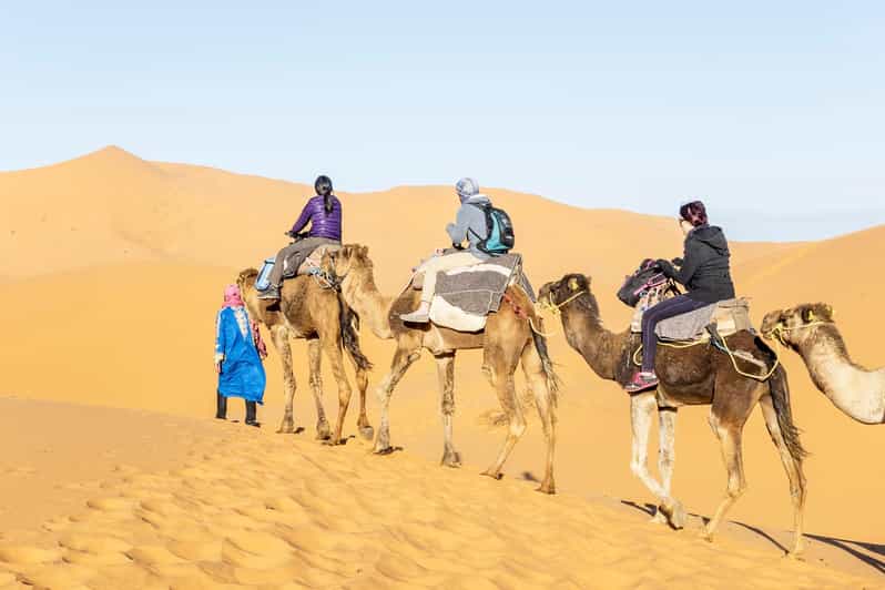 Au départ de Ouarzazate : vallée du Draa, balade à dos de chameau et excursion dans les dunes de Tinfou - dromadaire