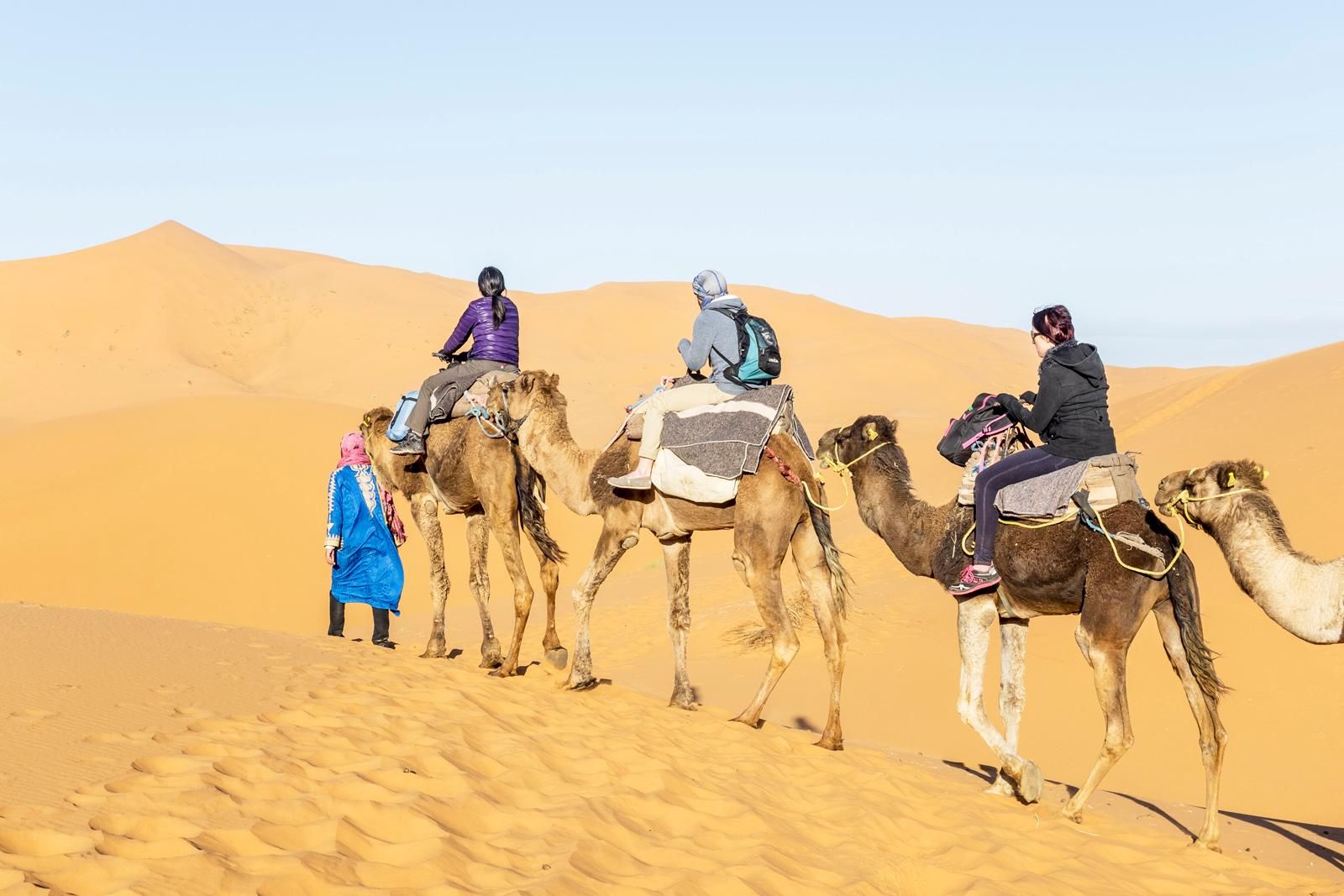 Von Ouarzazate aus: Draa-Tal, Kamelritt & Ausflug zu den Tinfou-Dünen