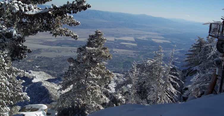 The BEST Palm Springs Tours and Things to Do in 2023 - FREE