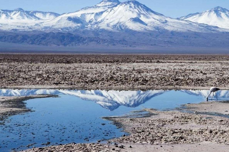 CEJAR LAGOON, SALT FLAT EYES AND TEBINQUINCHE LAGOON