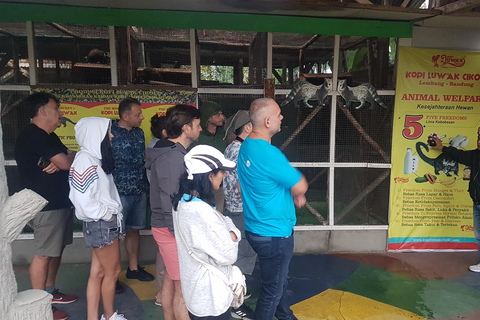 Le viste mozzafiato della campagna a Bandung