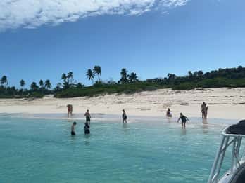 Nassau: Ilha privada e mergulho com snorkel, tartarugas, bebidas e churrasco