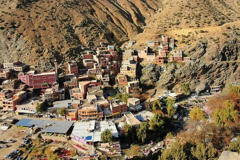 Desde Marrakech: montañas del Atlas, valle de Ourika y paseo en camello