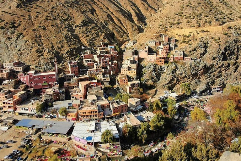 Desde Marrakech: montañas del Atlas, valle de Ourika y paseo en camello