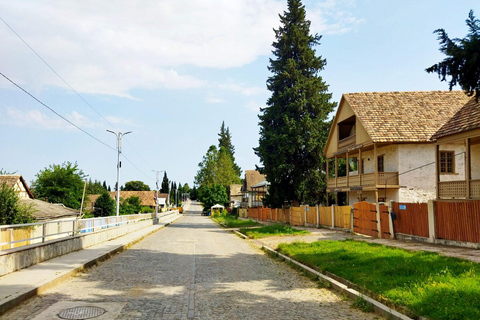 Algeti Lake,Asureti, and Diamond Bridge INCLUDE ENTRANCE!
