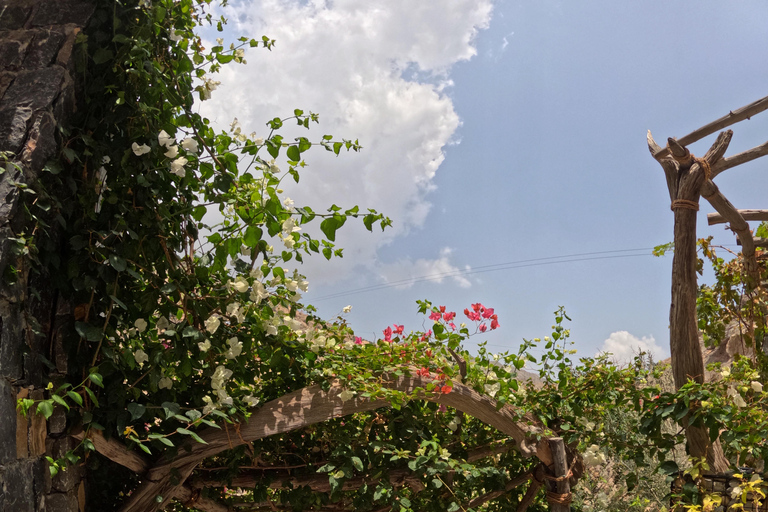 Muscat: Jabal Akhdar day trip Muscat: Jabal Akhdar day trip