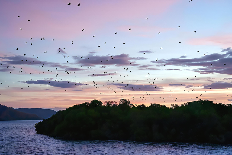 Labuan Bajo: Mirror Cave, Snorkeling & Sunset Cruise Tour Private Charter Boat Trip