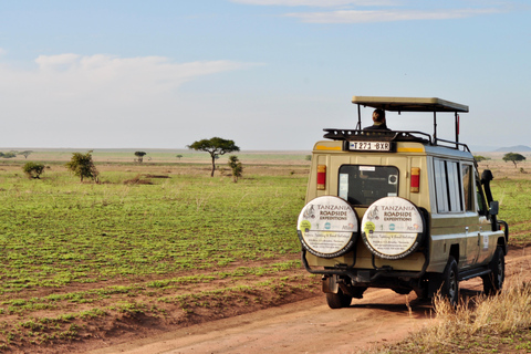 Day trip to Tarangire National Park