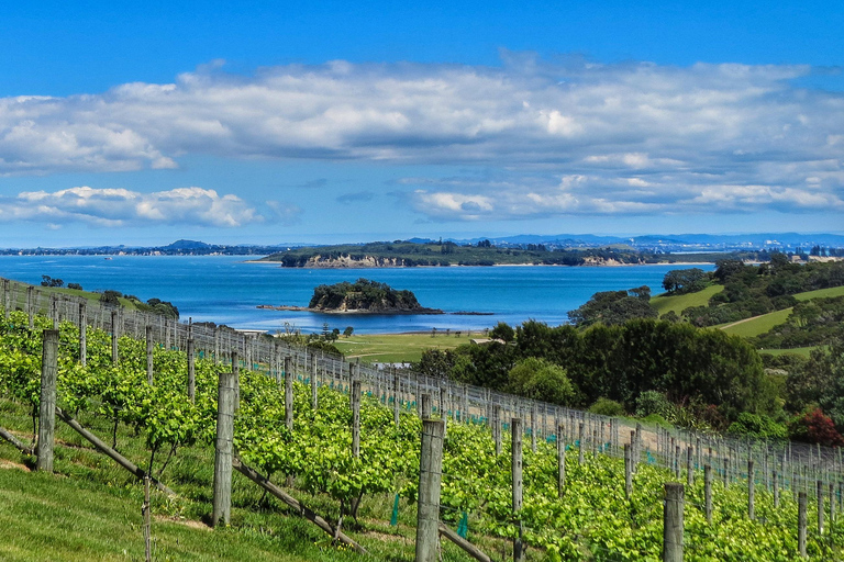 Waiheke Island: The Afternoon Wine Affair with Lunch