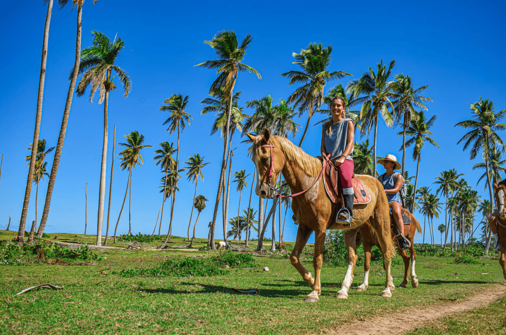 Samaná: Ausritt am Strand von El Limón mit Transfer