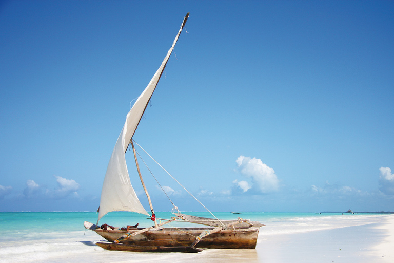 Forêt de Jozani, Lagon bleu, Étoile de mer, Le Rocher, Plage de Paje