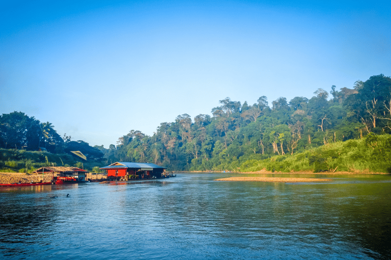 Desde Kuala Lumpur Tour privado al Parque Nacional de Taman Negara