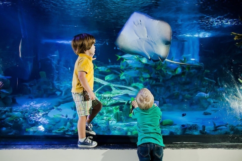 Orlando: Madame Tussauds und Sea Life Aquarium - Kombiticket