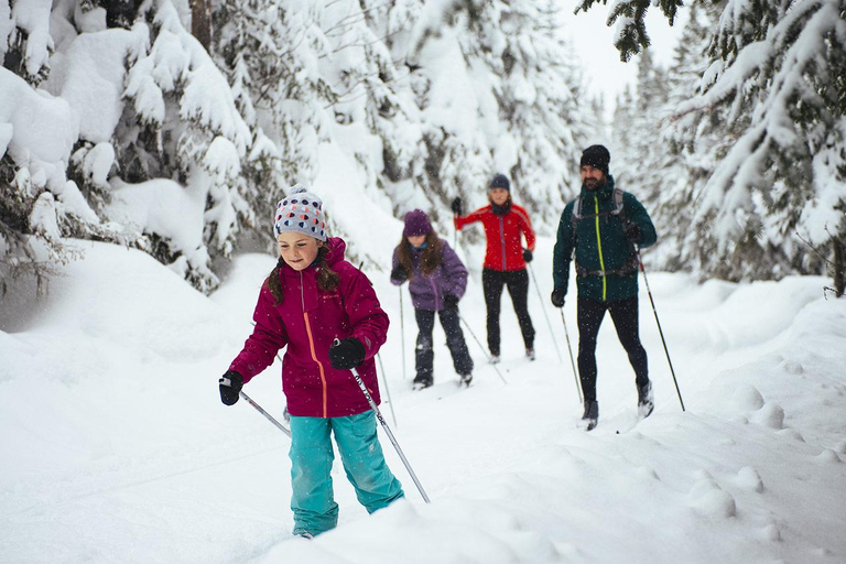 Quebec City: Introduction to cross-country skiing at Camp Mercier