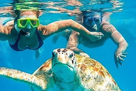 Riviera Maya: Nado con Tortugas, Cenote y Almuerzo mexicano. Riviera Maya:Nado con Tortugas, 3 Cenotes, Almuerzo Mexicano