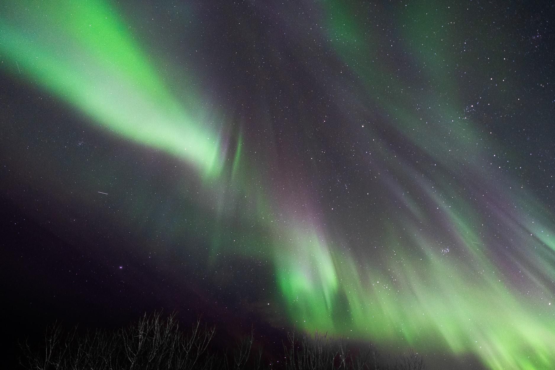 Komm in unser Aurora-Zentrum und mach deine Jagd erfolgreich
