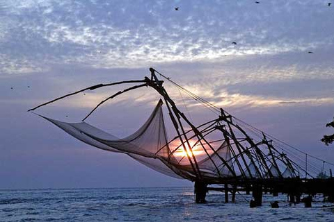 Discovering Cochin: a Day in the Life of a Local Standard Option