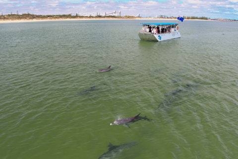 Koombana Bay: Dolphin Eco Cruise