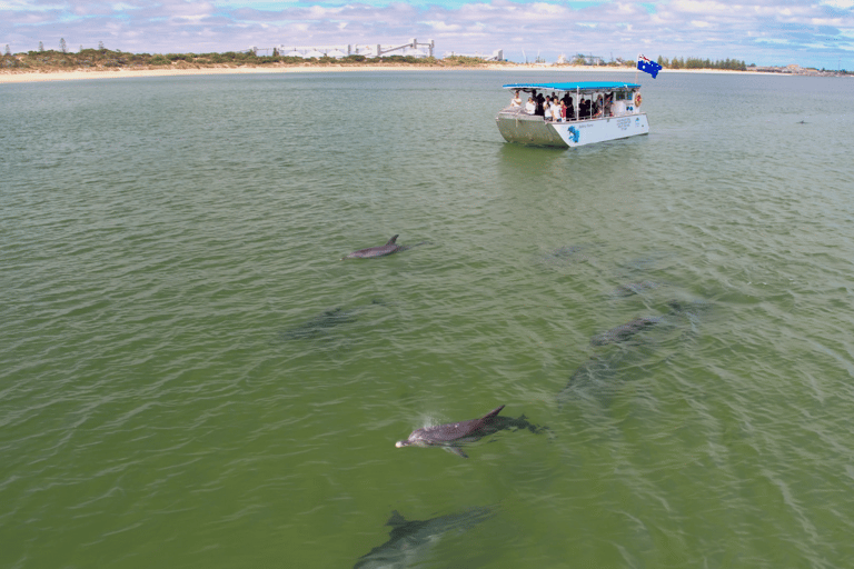 Koombana Bay: Dolphin Eco Cruise