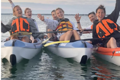Oak Bluffs: Kayak Tour with Wildlife Single Kayak