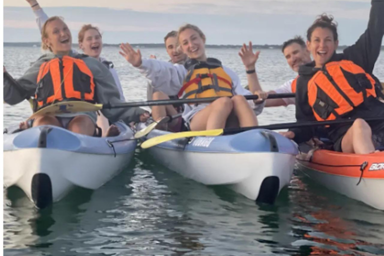 Oak Bluffs: Kayak Tour with Wildlife Single Kayak